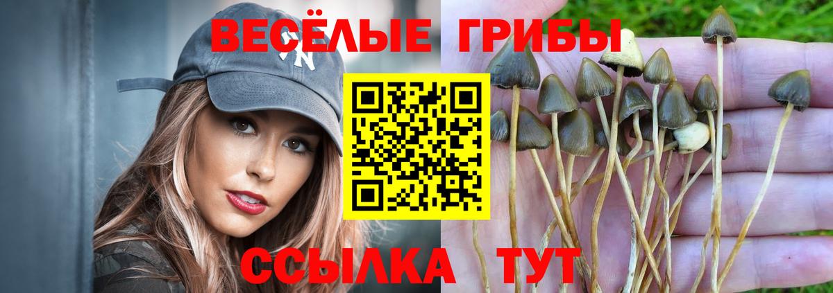 Галлюциногенные грибы MAGIC MUSHROOMS  закладки  Нефтекамск  Вход с VPN 